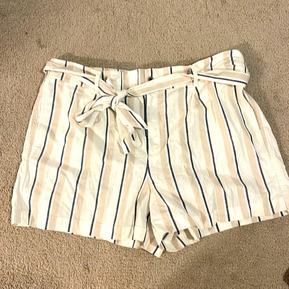 Loft shorts